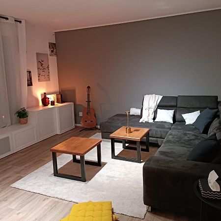 Stylish 1-Bedroom Flat With Beautiful Terrace , For A Cosy Retreat Strasbourg Luaran gambar