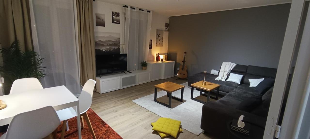Stylish 1-Bedroom Flat With Beautiful Terrace , For A Cosy Retreat Strasbourg Luaran gambar