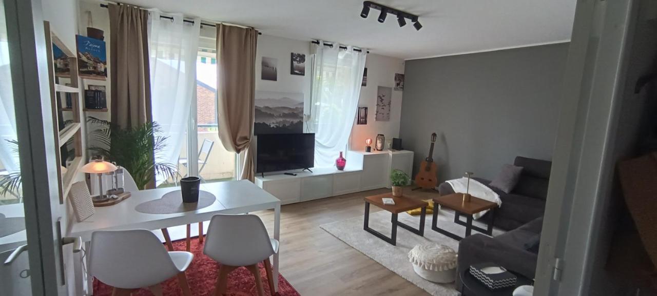 Stylish 1-Bedroom Flat With Beautiful Terrace , For A Cosy Retreat Strasbourg Luaran gambar
