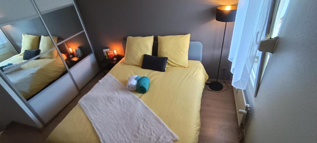 Stylish 1-Bedroom Flat With Beautiful Terrace , For A Cosy Retreat Strasbourg Luaran gambar
