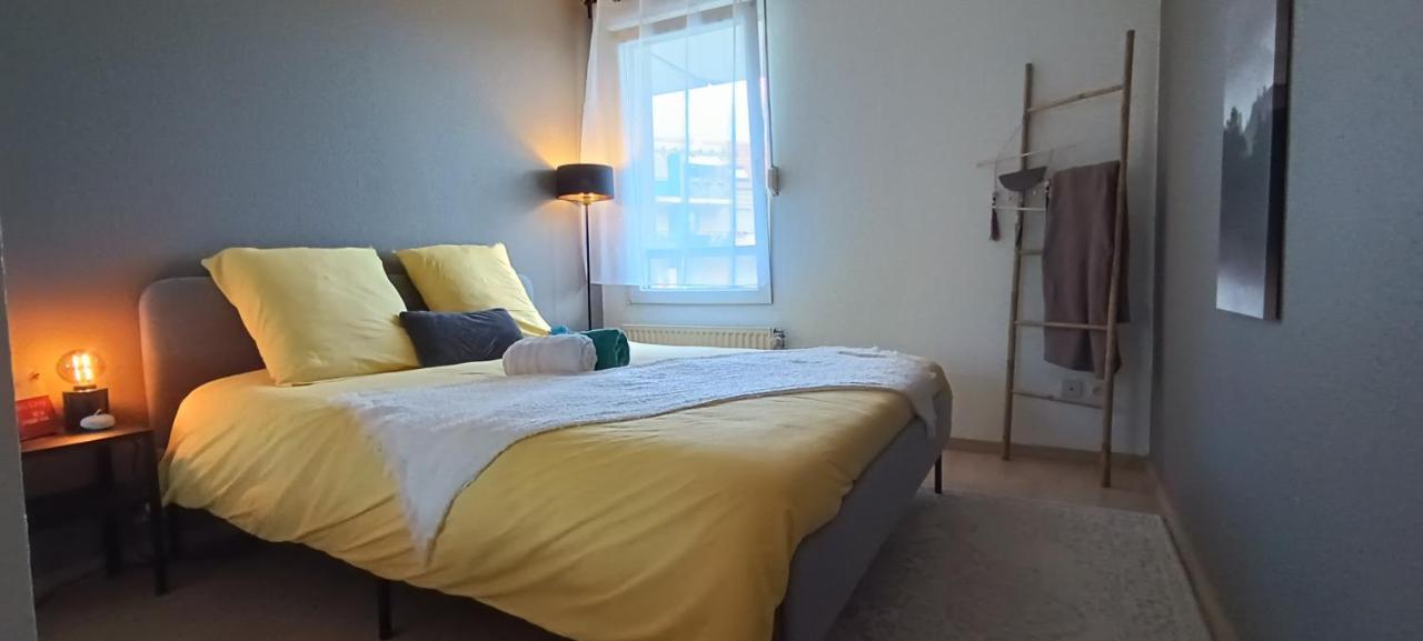 Stylish 1-Bedroom Flat With Beautiful Terrace , For A Cosy Retreat Strasbourg Luaran gambar